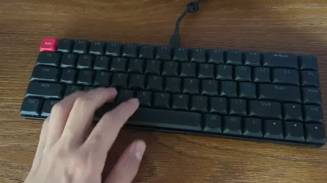 動画